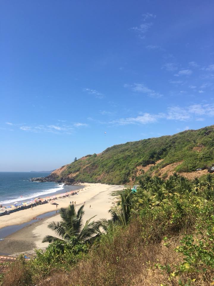 27750113_10156333014337502_1720641405767505229_n