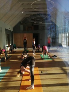 joga, zajęcia Mysore